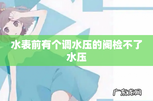 水表前有个调水压的阀检不了水压