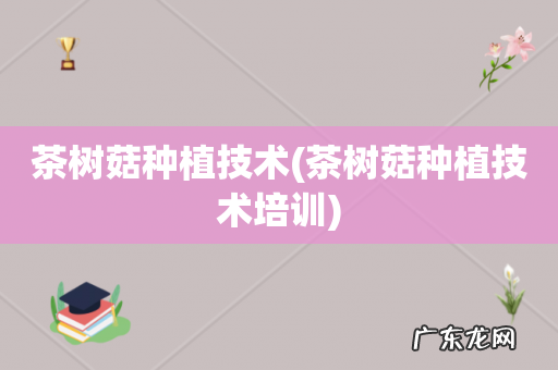 茶树菇种植技术培训 茶树菇种植技术