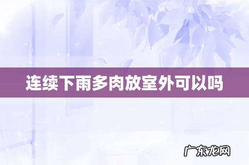连续下雨多肉放室外可以吗