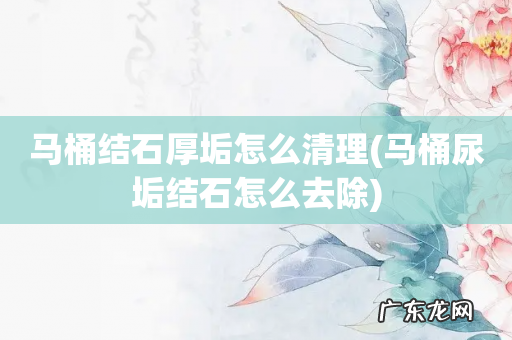 马桶尿垢结石怎么去除 马桶结石厚垢怎么清理