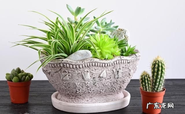 小孩总是咳嗽是哪里风水有问题 哪里风水不对会导致咳嗽