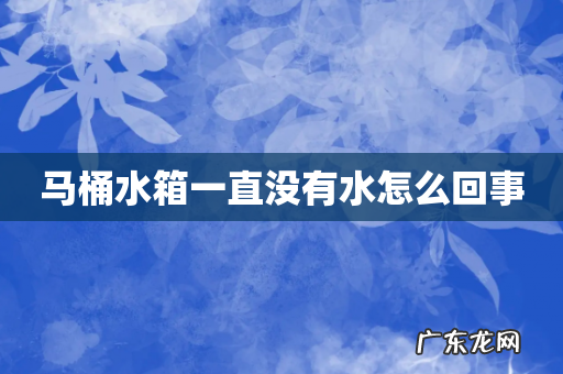马桶水箱一直没有水怎么回事