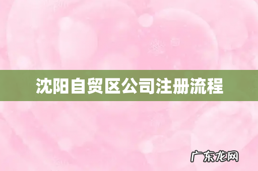 沈阳自贸区公司注册流程