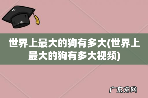 世界上最大的狗有多大视频 世界上最大的狗有多大