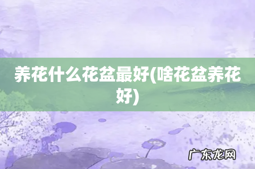 啥花盆养花好 养花什么花盆最好