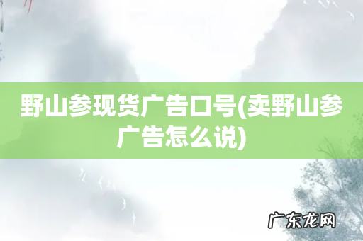 卖野山参广告怎么说 野山参现货广告口号