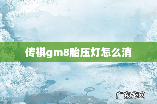 传祺gm8胎压灯怎么消