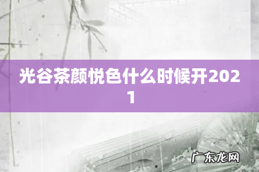光谷茶颜悦色什么时候开2021