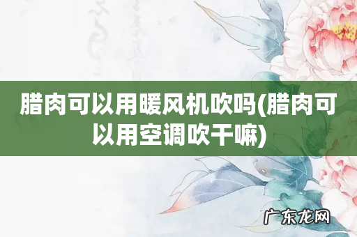 腊肉可以用空调吹干嘛 腊肉可以用暖风机吹吗
