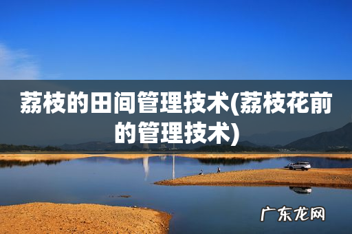 荔枝花前的管理技术 荔枝的田间管理技术