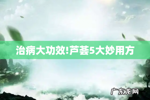 治病大功效!芦荟5大妙用方