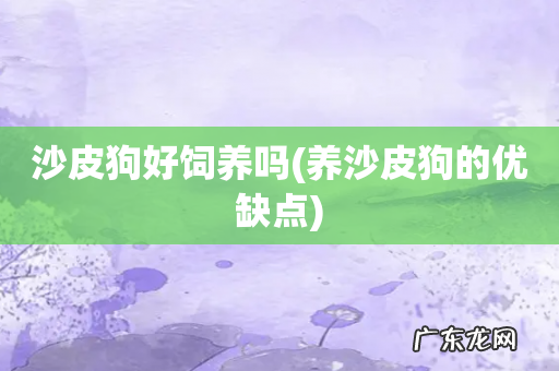 养沙皮狗的优缺点 沙皮狗好饲养吗