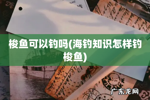 海钓知识怎样钓梭鱼 梭鱼可以钓吗