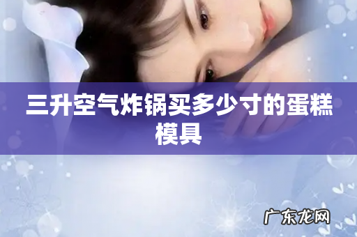 三升空气炸锅买多少寸的蛋糕模具