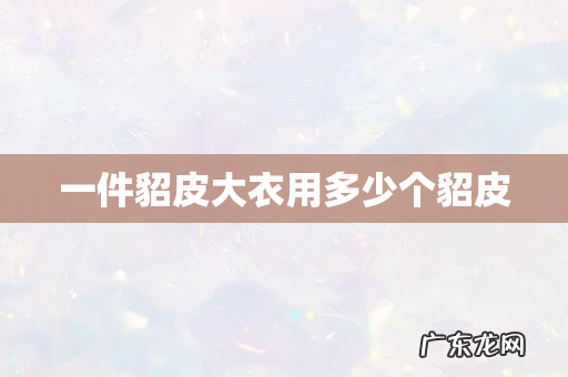 一件貂皮大衣用多少个貂皮