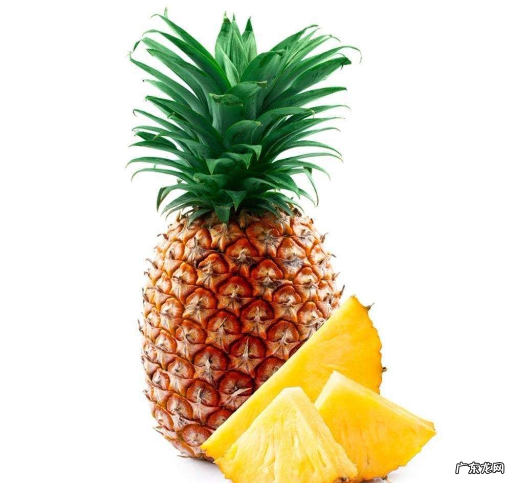 凤梨跟菠萝的区别在于哪里 凤梨和菠萝的区别功效