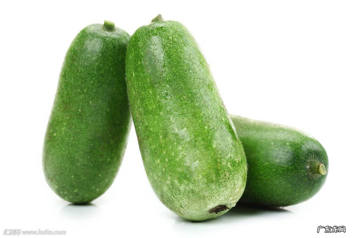 节瓜和冬瓜的区别 冬瓜