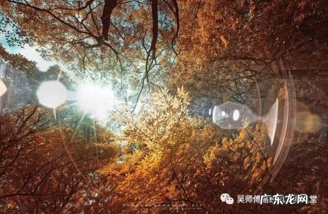 人身上的风水是什么意思 上等风水在自己身上