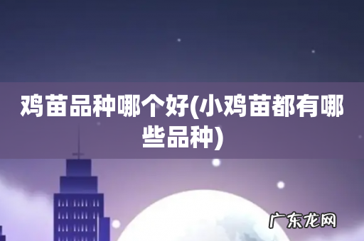 小鸡苗都有哪些品种 鸡苗品种哪个好