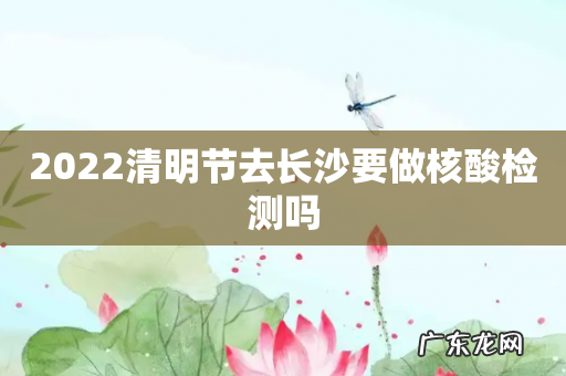 2022清明节去长沙要做核酸检测吗