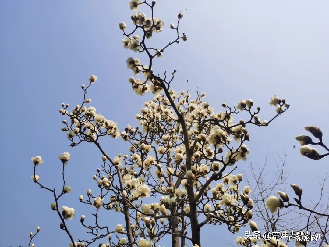 丫髻山图片 丫髻山风景