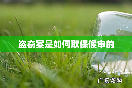 盗窃案是如何取保候审的