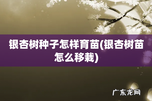 银杏树苗怎么移栽 银杏树种子怎样育苗