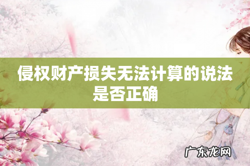 侵权财产损失无法计算的说法是否正确