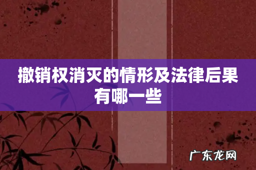 撤销权消灭的情形及法律后果有哪一些