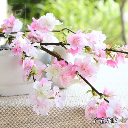 风水小妙招 五招风水小妙法