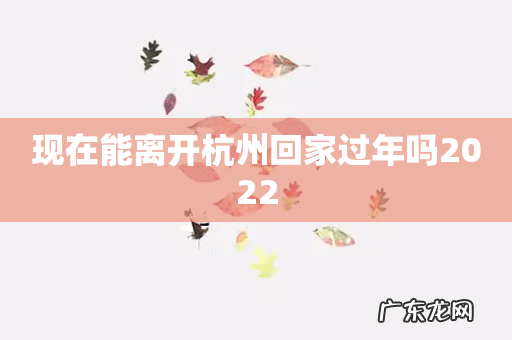 现在能离开杭州回家过年吗2022