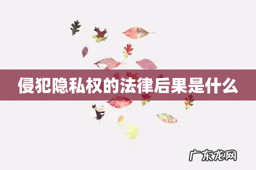 侵犯隐私权的法律后果是什么