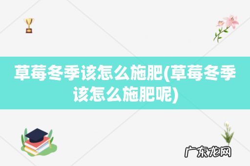 草莓冬季该怎么施肥呢 草莓冬季该怎么施肥