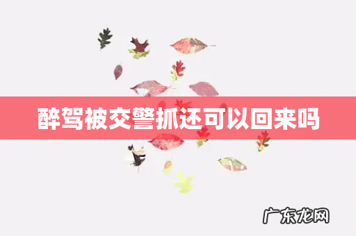 醉驾被交警抓还可以回来吗