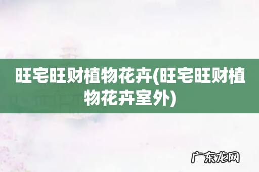 旺宅旺财植物花卉室外 旺宅旺财植物花卉