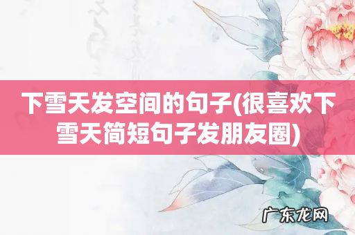 很喜欢下雪天简短句子发朋友圈 下雪天发空间的句子