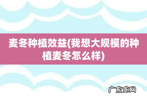 我想大规模的种植麦冬怎么样 麦冬种植效益