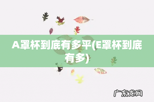 E罩杯到底有多 A罩杯到底有多平