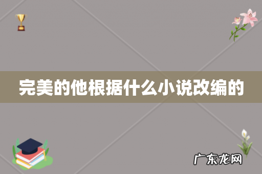 完美的他根据什么小说改编的