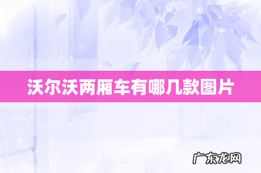 沃尔沃两厢车有哪几款图片