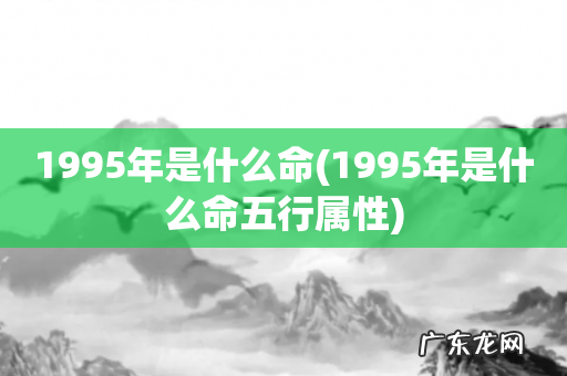 1995年是什么命五行属性 1995年是什么命