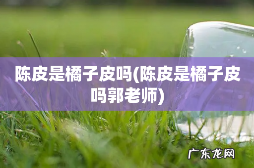 陈皮是橘子皮吗郭老师 陈皮是橘子皮吗