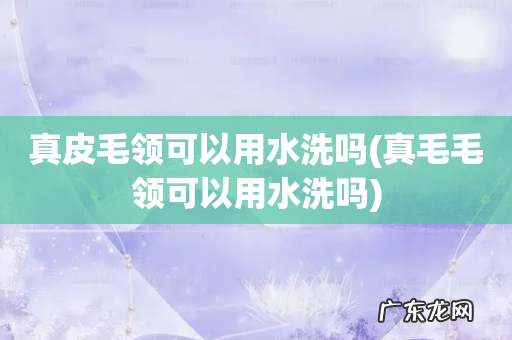 真毛毛领可以用水洗吗 真皮毛领可以用水洗吗