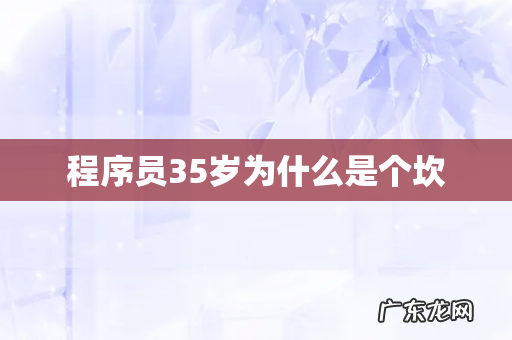 程序员35岁为什么是个坎