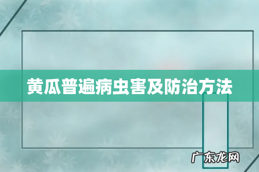 黄瓜普遍病虫害及防治方法