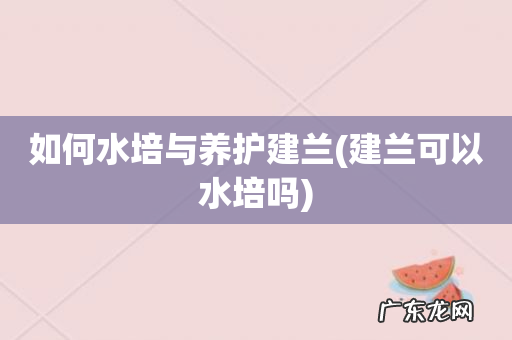 建兰可以水培吗 如何水培与养护建兰