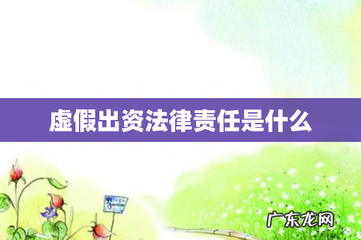 虚假出资法律责任是什么