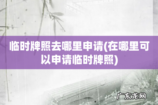 在哪里可以申请临时牌照 临时牌照去哪里申请