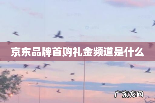 京东品牌首购礼金频道是什么