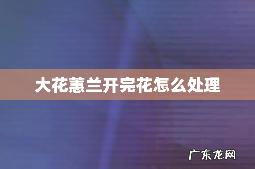大花蕙兰开完花怎么处理